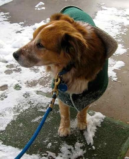 Tussah_9030 - Version 2