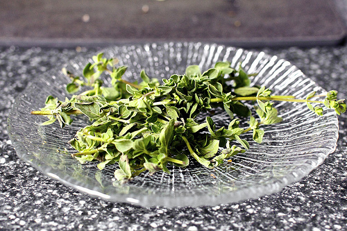 fresh oregano, I like you