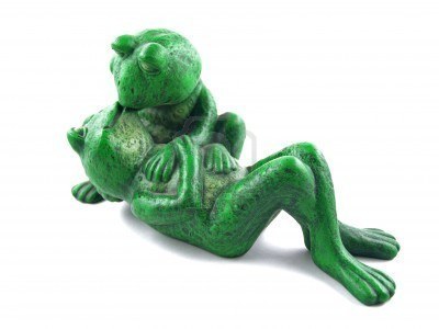 When is Breeding Time for Frogs? 