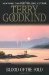 Blood of the Fold (Sword of Truth, #3) by Terry Goodkind