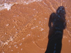 peishadowme