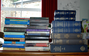 A little holiday reading. My basic research.