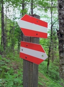 Click to visit the original post