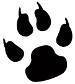 cat printsm