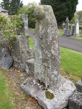 Dumb Proctor Lochwinnoch