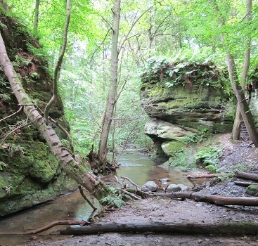 Dunino Den Pictish ritual site