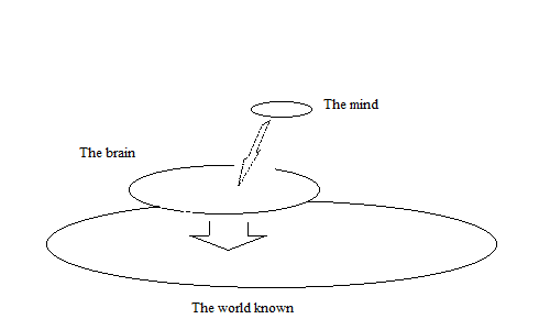 Levels of intentionality