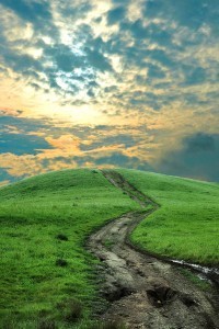 Landscape and the road: for Virtual Landscape