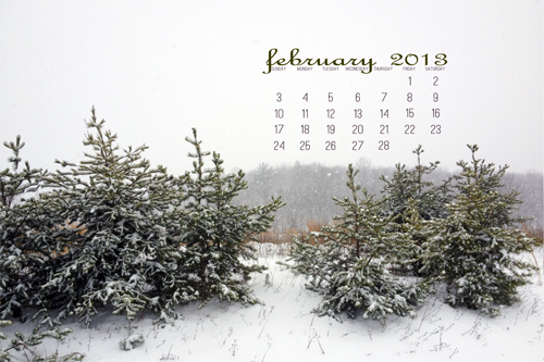February 2013 Desktop Calendar