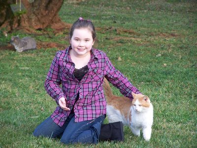 Post image for Cats in Heaven?