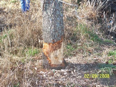 Post image for Idol, X-Factor, Agents, and Publishers