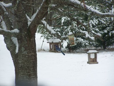 Post image for My Favorite Things