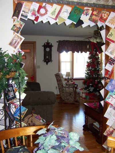 Post image for Reflections