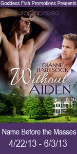 NBtM Without Aiden Book Cover Banner copy