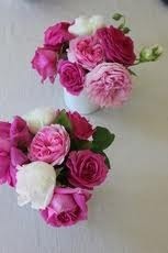 bourbonroses