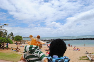 Visited a Lihue beach in Kauai, HI.