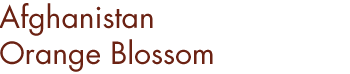 Afghanistan Orange Blossom