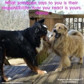 react DSC1070 290x290 Woofisms: Woofs of Wisdom© funny dog blog