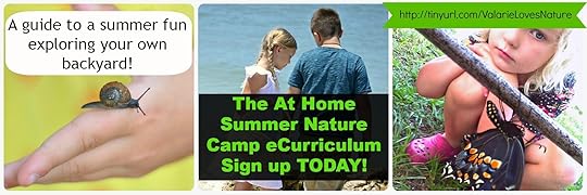 At-Home Summer Nature Camp eCurriculum