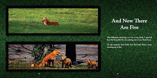 The Fox Diaries