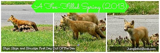 The Fox Diaries