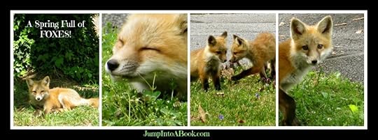 The Fox Diaries