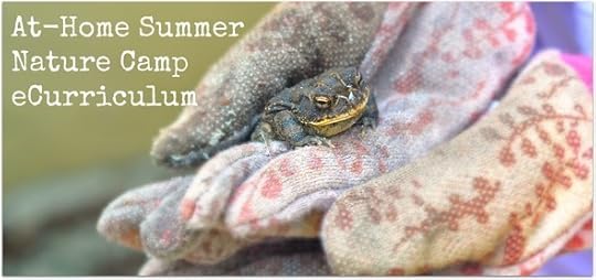 Natrual Nester Summer Camp