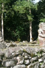 Tikis