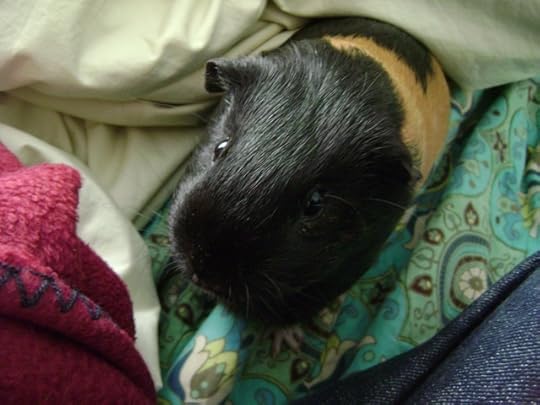 Andrew Neiderman also wrote Pin. I wonder if it’s minimalist.