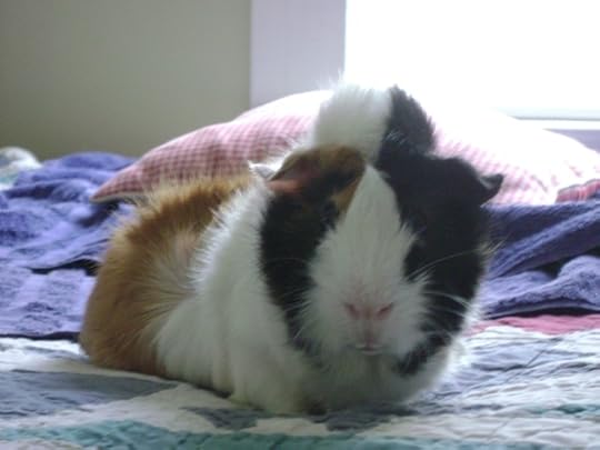 In dystopian Russia, they have no memes.