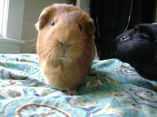 Jar Jar Binks makes the Ewoks look like fuckin’ Shaft! 