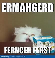 Cat meme
