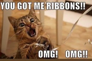 Cat meme string