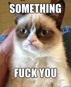 Grumpy Cat