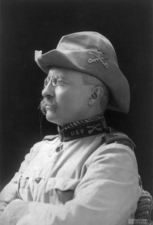 English: Col. Theodore Roosevelt. Crop of Imag...