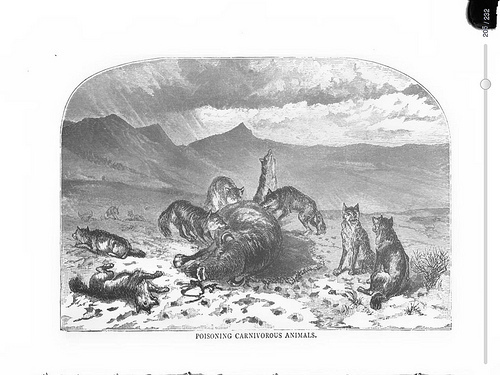 Joseph H. Beatty - How to Hunt & Trap