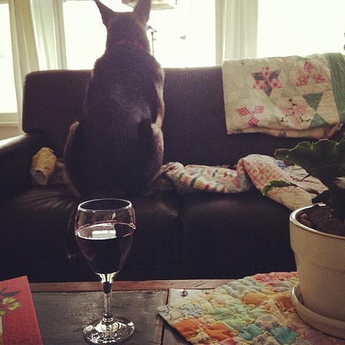 Rough 24 hours calls for a big glass of wine. Yes? Yes.