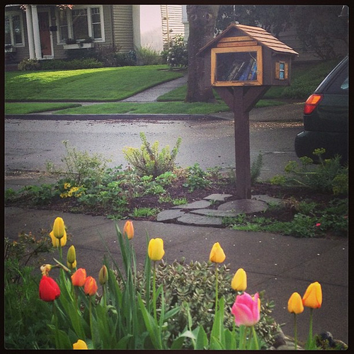 Tulips are up and our #littlefreelibrary is still the best community building move we've made. Love that thing