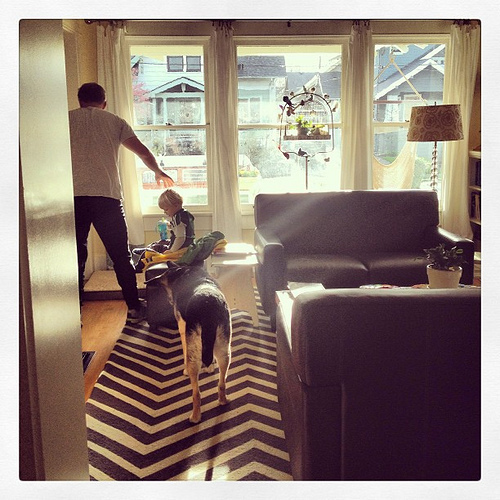 We had the most gorgeous light this morning for about 20 minutes. We all rushed out to enjoy it while it lasted. #lifeinportland