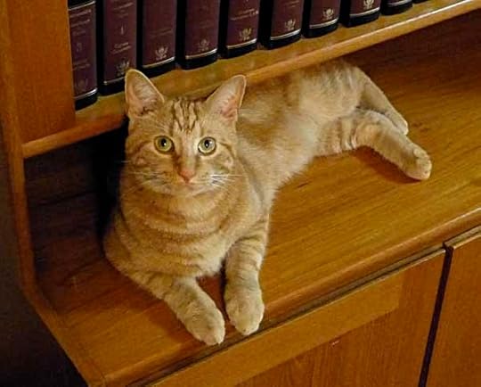 LeoBookcase