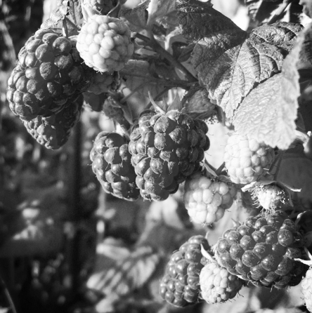  photo ad19a42b-bb0b-45a0-903a-e58a6ff08880_zps5fe973d8.jpg