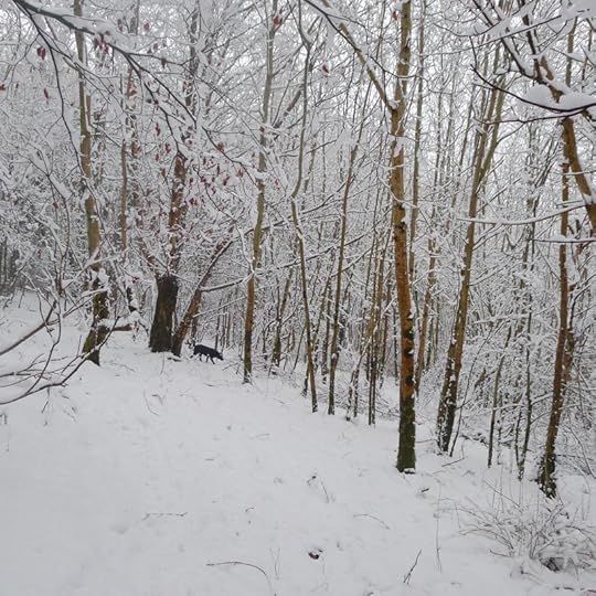Among the trees