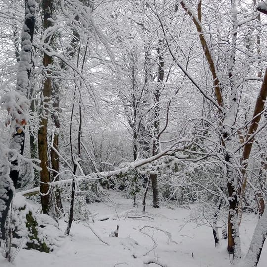 The Ice Forest