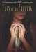 Fury of the Phoenix (Kingdom of Xia, #2) by Cindy Pon