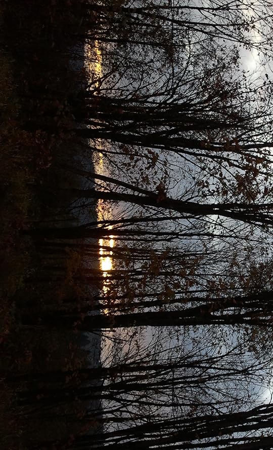 Northwoods Sunset © 2011 Janalyn Voigt