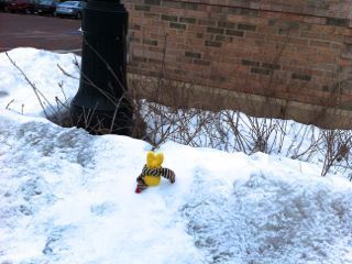  photo IMG_2141_zps3ab6f02c.jpg