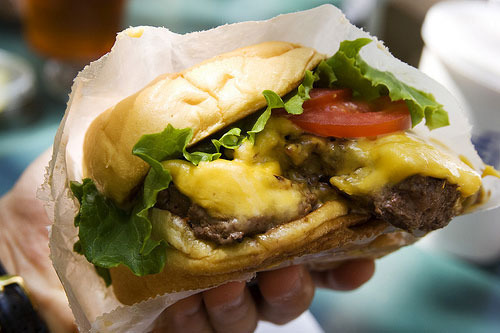 shake shack, t4x, t4 xperience, delta, jfk, free food, free food nyc, free burgers, good burgers, free burger nyc, great burger, shake shack coupon, free shake shack burger, where is shake shack, jfk nyc, tax break, t4x burger, free t4x burger, 4 dollar meals, meals under 5 dollars, michael robinson, one hundred pennies, 100 pennies, book, 