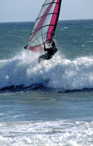 Windsurfing Adventure Public Domain