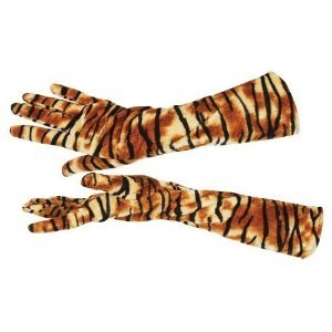 TigerGloves American Library Association Annual Conference Thoughts and Recaps: 2013 Edition (Part Two)