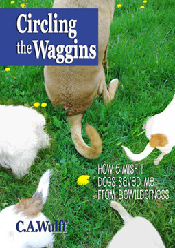 Circling the Waggins